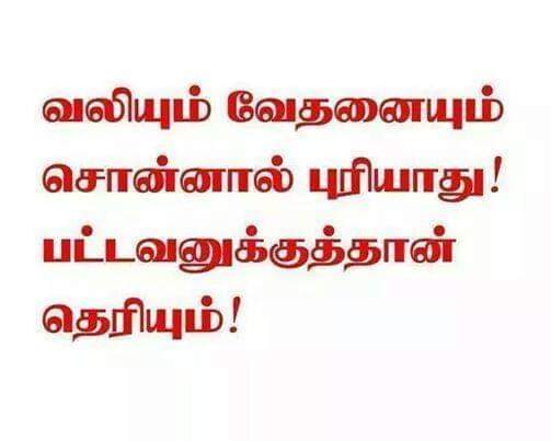 ZDBoMkkVMSGebUg's tweet photo. #FreeDKVfromSC "Devendrakula velalar listed under SC was a historical mistake. I will do my best to delist them and add them to OBC" -- @GaneshSingh_in Thanks for your words sir #FreeDKVfromSC 
@JohnPandianTMMK @DrKrishnasamy 
@CMOTamilNadu
@DrShyamKK @Murugan_TNBJP https://t.co/FOGC4f1Xb2
