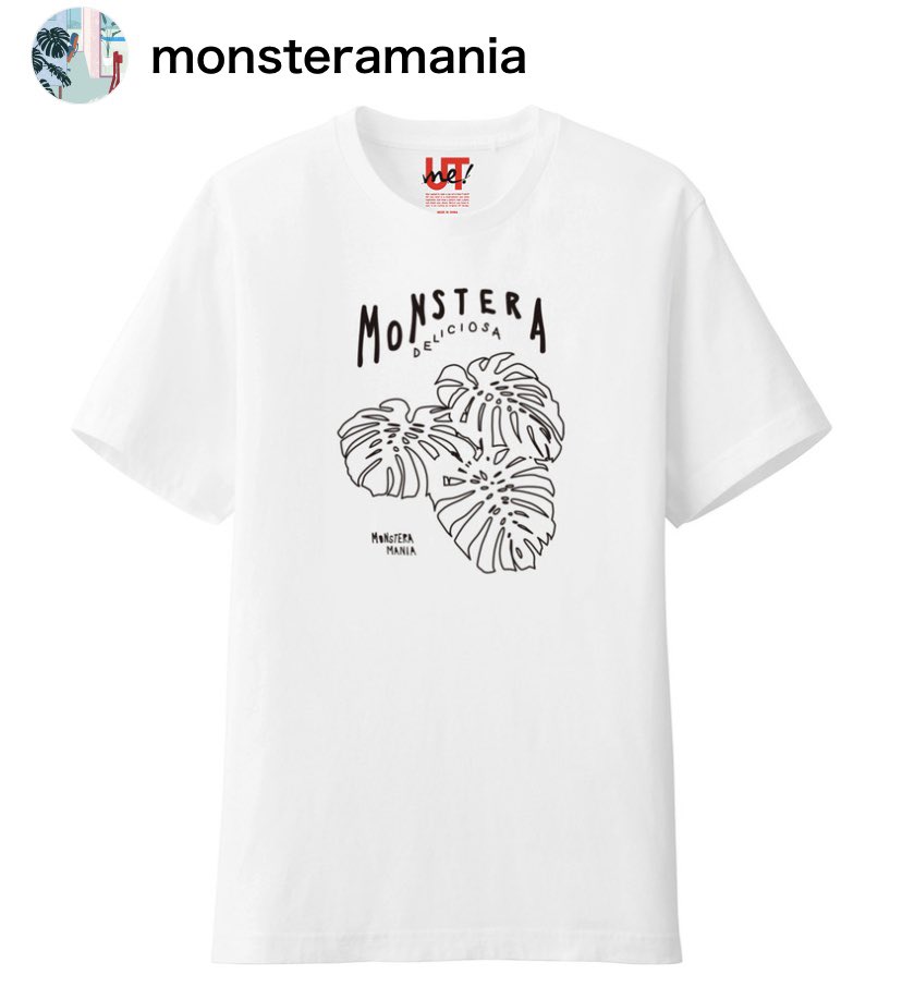 monsteramania's tweet photo. モンステラマニアTシャツがユニクロのUTme!で購入できるようにしました。今までなかった色、エコバッグなども選べます。価格もボディーによってはかなりお買い得。
ユニクロUTme!
から、「monsteramania」で検索してください。下記リンクからもどうぞ。

https://t.co/VsqDdup5yg https://t.co/UMG04BiadX