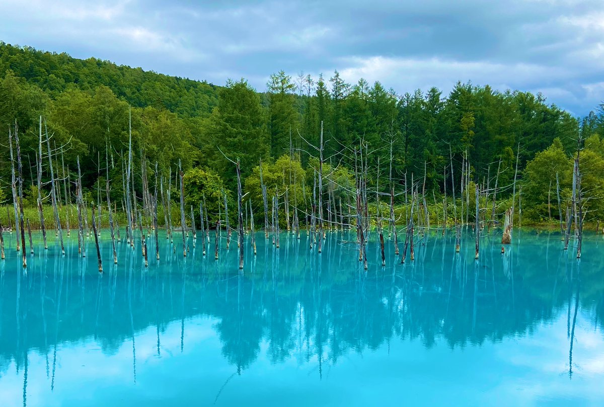 Aki 東北 Appleの壁紙になった青い池 アングルも季節も違いますが 美しい アイスはラムネ味
