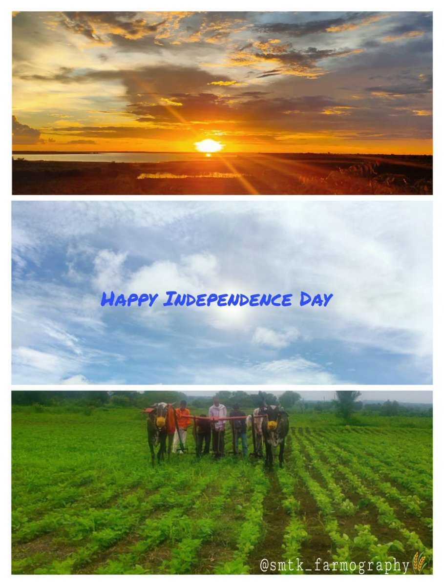 AkshayDhage6's tweet photo. #IndependenceDay
#framlife https://t.co/tS6WjIhIWw