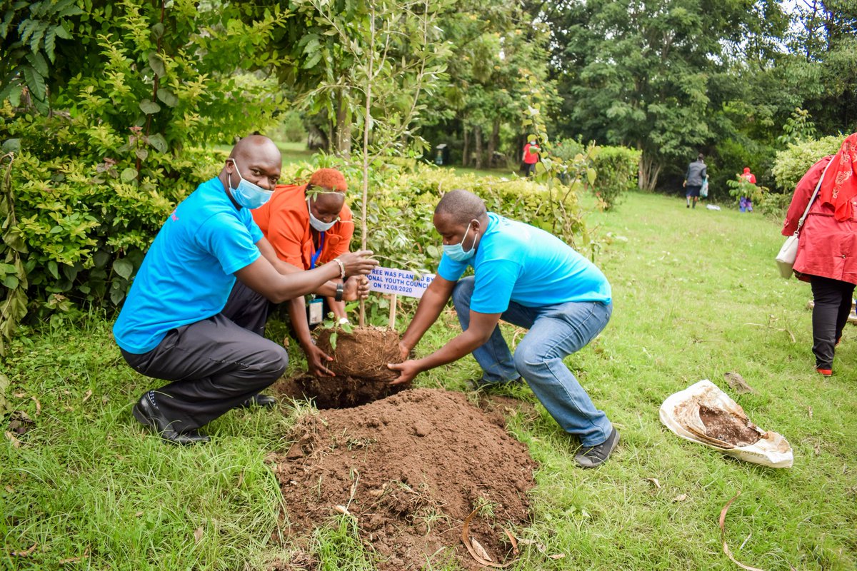 @USAIDKenya @USAmbKenya @USEmbassyKenya @YALIRLCEA @CDCKenya We spent our time in conserving our environment by planting trees to support the goal of 10% forest cover by 2020. #YouthTakingCharge #greeningkenya @unhabitatyouth @RoySasaka  @NYC_YouthVoice @DG_matilda @archiemimo @MoICTKenya @BCM_Kenya @BaloziYatani @GenUKenya