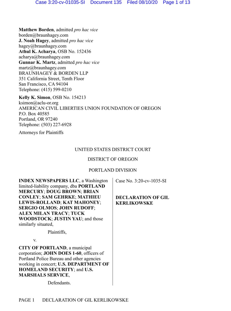 I just scan my thread and realized I overlooked providing you with a public drive link to Kerilokowske’s August 10 (original) declaration.Let’s go ahead and fix my inadvertent folly... https://drive.google.com/file/d/1Ttyl4J5k1ZVjXLU9YTamH1cVGjbRjdZq/view?usp=drivesdk