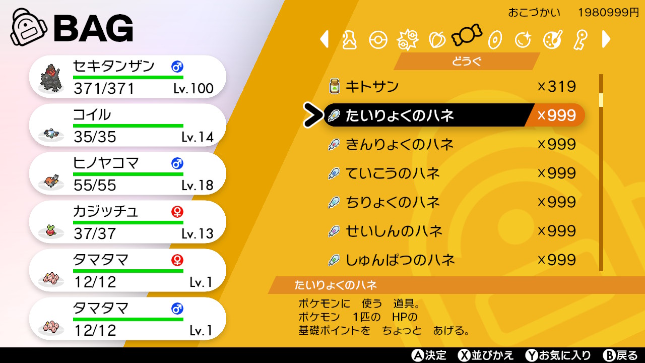 Blank 羽マイコンにやらせてカンスト ポケモン剣盾 Nintendoswitch