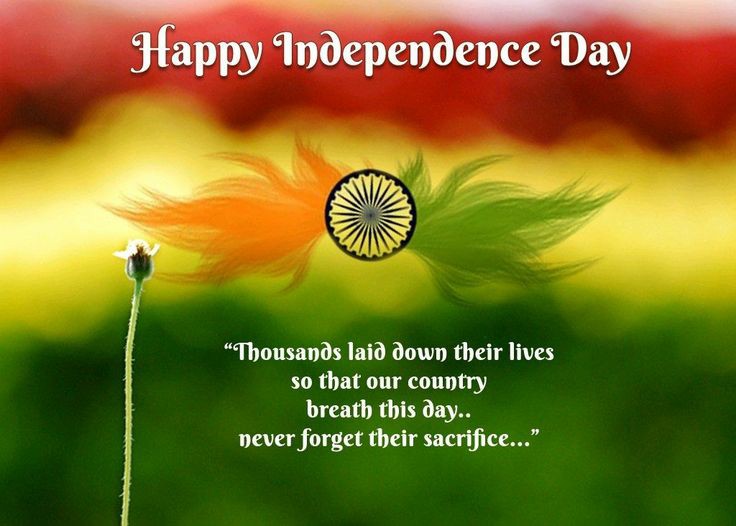 _niharika_g's tweet photo. Celebrate the free spirit of INDIA🇮🇳🕊️ https://t.co/0TldAG6mty