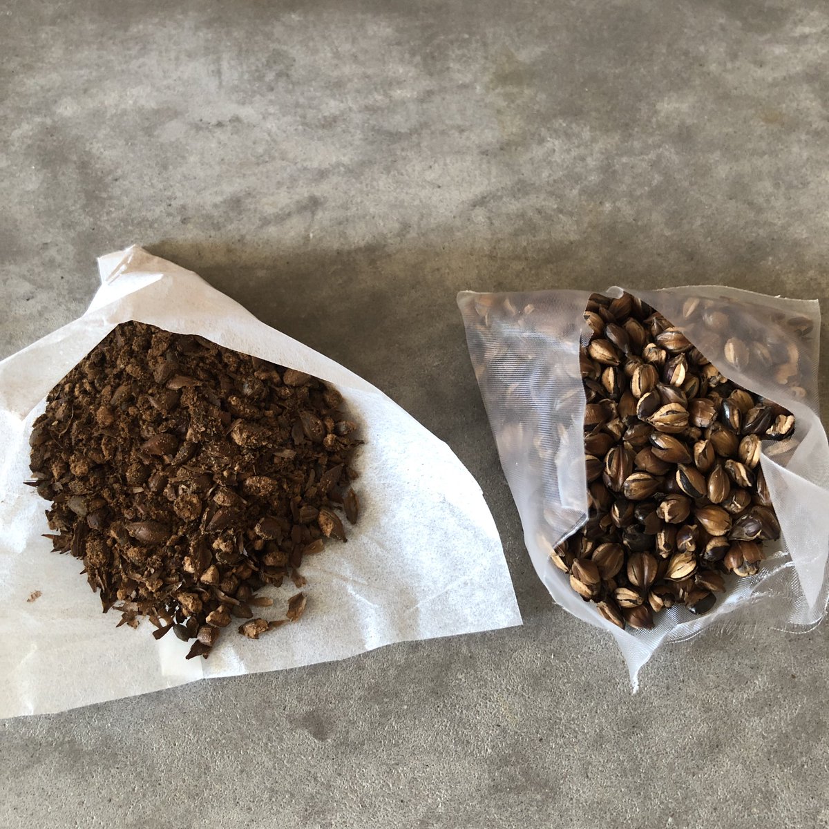 Twitter 上的 有賀 薫 左が 水出しのパック麦茶の中身 焙煎が濃くて粒が砕いてあるので早く色がつきます 右は煮出し用の粒の麦茶 昔ながらの麦茶 はこれなんですが 色が淡いのでパックに慣れちゃうと麦茶っぽく感じないかも T Co Nor0ezjioq Twitter