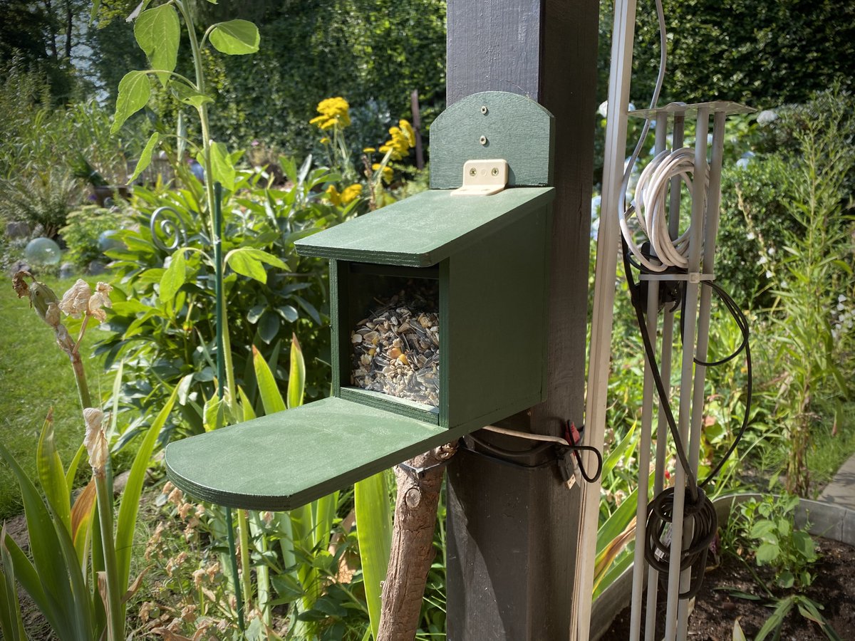 TheSquirrelCafe's tweet photo. I’m renovating The Squirrel Café and a Pop Up Cafe has been installed for our guests instead. However, we’ll be offline for a couple of days until the renovation of the old feeder got done. https://t.co/Ti93T0IYBf