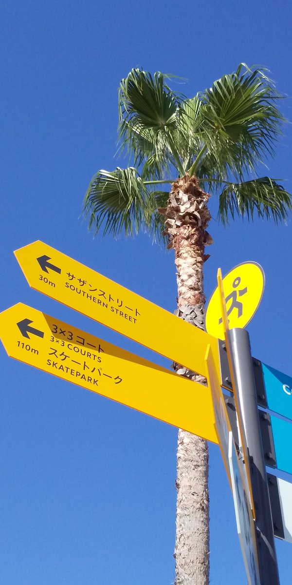 印刷 エボシライン 意味 エボシライン 意味 Jozirasutowsui