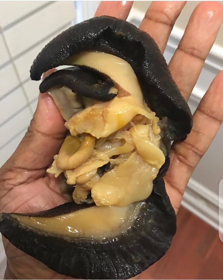 meatnshare's tweet photo. Fresh Jumbo snails available for shikini money. N8,500 for 10 pieces. 
Large snails 4,500 for nail pieces 
Medium snails 3,500 for 10 pieces.
We are just a call away and deliver nationwide. Location: Lagos. 08184243532 https://t.co/wLqwVci03w