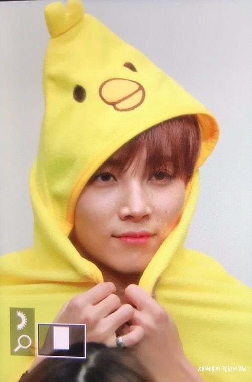 🐥