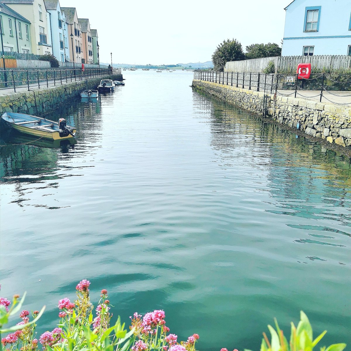 SmugglersTable's tweet photo. How lucky are we to have this in front of the restaurant!! Beautiful morning for a walk around the shoreline.
#thesmugglerstable #killyleagh #strangfordlough #breakfaststop #coffeefix #lunch #relax https://t.co/oVzP7SO244