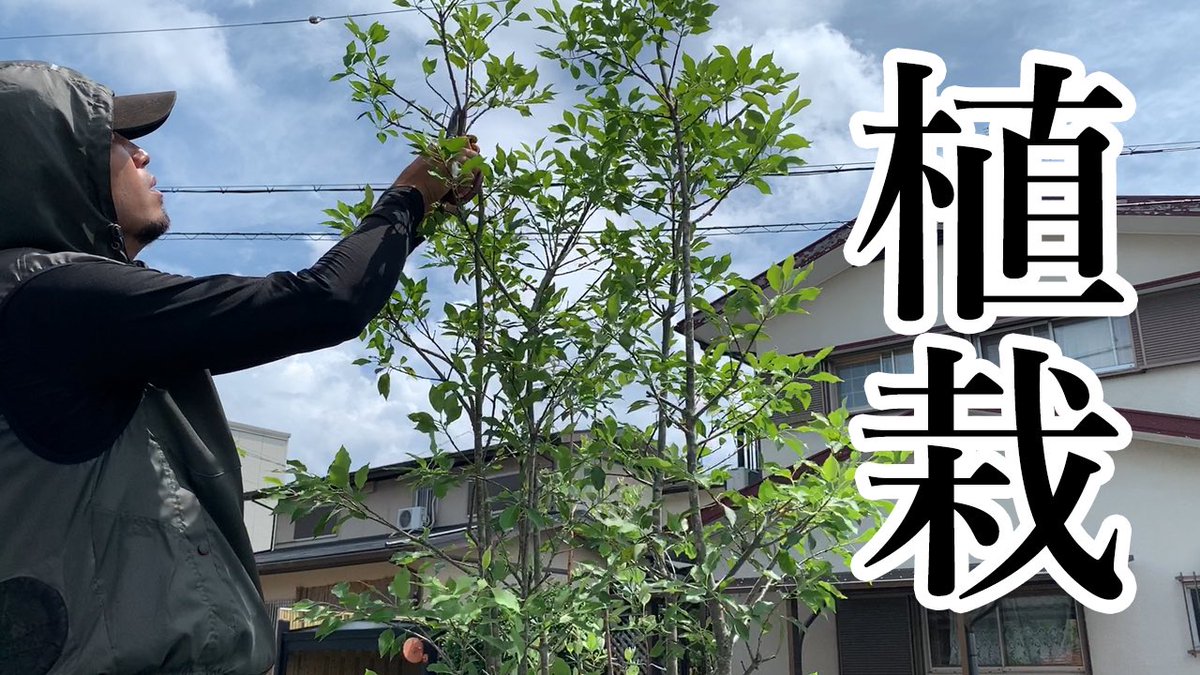 Garden Produce Tv いろは造園 外構工事 お庭のリフォーム Youtube登録2万人 本日時に動画公開 暑さでへばっていたので久々の動画です 節約の為に植木は自分で植えたい 予算が足りず植木を植えられなかった 自分でも植えられそう という方の