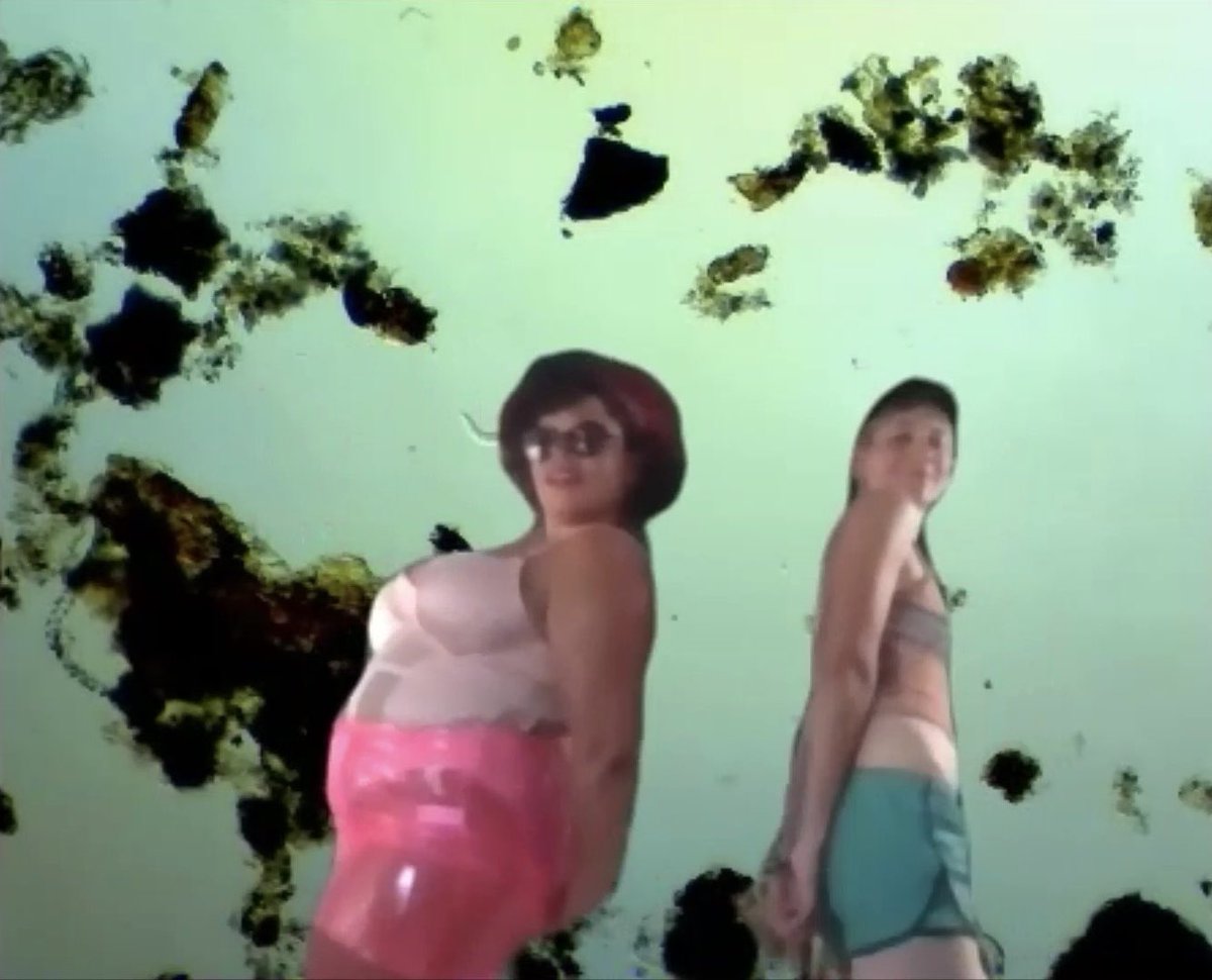 Phytology (@phytologylondon) on Twitter photo Tonight! Join Queer Ecologies dancing with the nematodes ~ a weird and wonderful boogy @ 8pm, with sounds and words by the incredible Victoria Sin, don't miss this!
tickets via @electricdreamsfest: electricdreamsfestival.com/microbedisco/
collect your party bag here: amajosephinebudge.com/queerecologies Tonight! Join Queer Ecologies dancing with the nematodes ~ a weird and wonderful boogy @ 8pm, with sounds and words by the incredible Victoria Sin, don't miss this!
tickets via @electricdreamsfest: electricdreamsfestival.com/microbedisco/
collect your party bag here: amajosephinebudge.com/queerecologies
