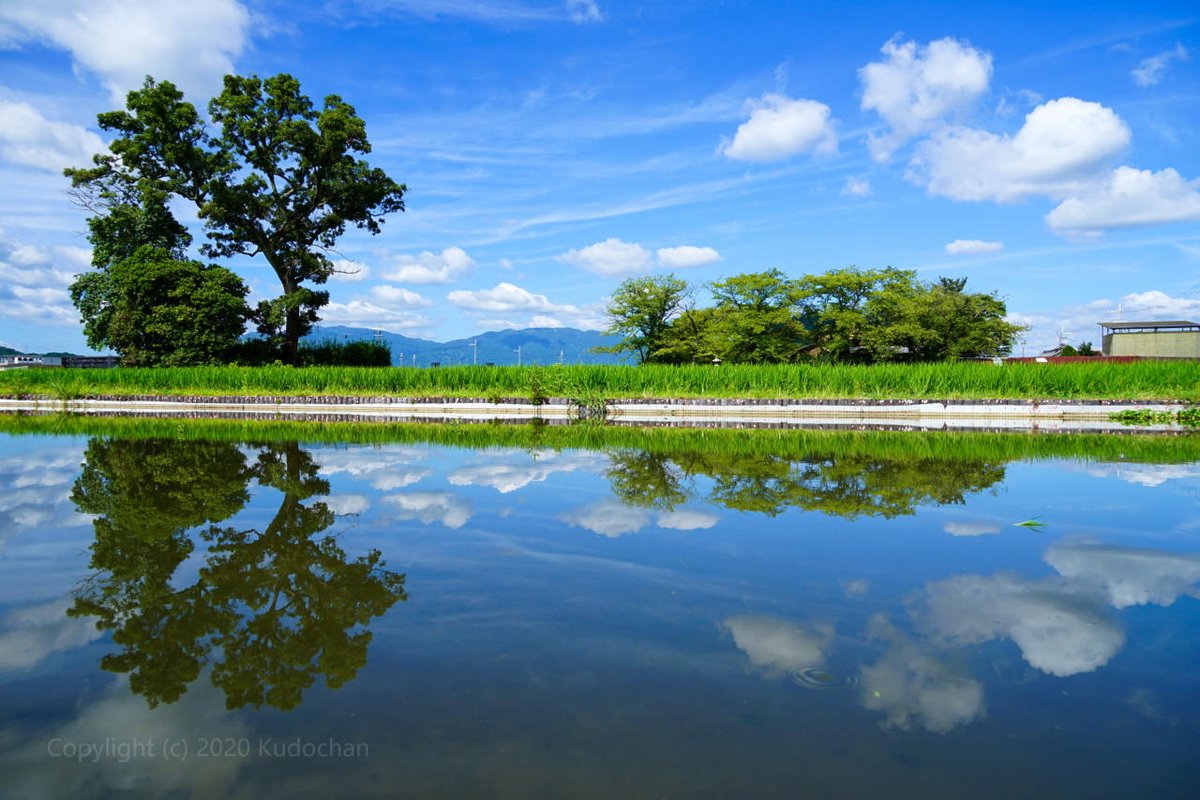 kudochan_tweet's tweet photo. 今年は田んぼが綺麗な本薬師寺跡♪

#風景写真　#田園風景　#リフレクション https://t.co/ceN8udEa6d