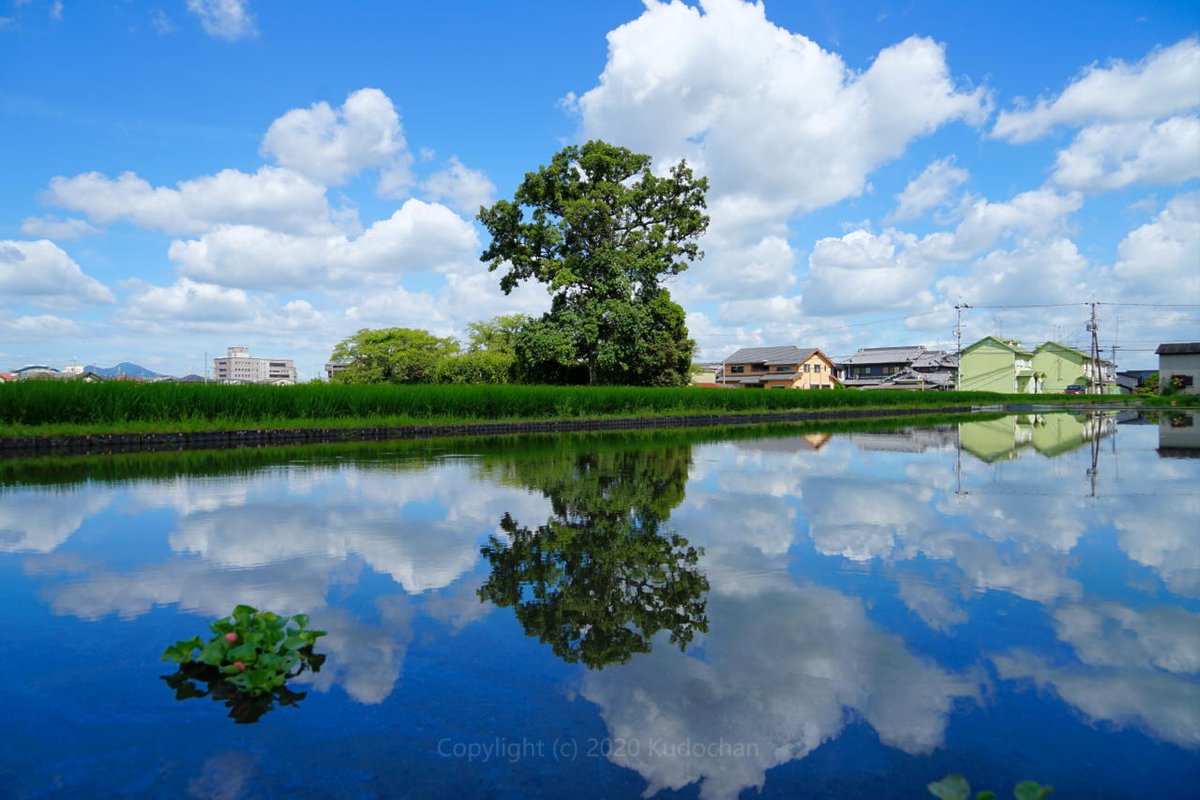 kudochan_tweet's tweet photo. 今年は田んぼが綺麗な本薬師寺跡♪

#風景写真　#田園風景　#リフレクション https://t.co/ceN8udEa6d
