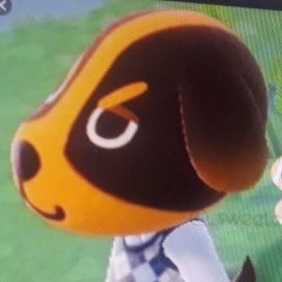 AC_Butch's tweet image. hey everyone haven't posted in a while but guess what ima back.