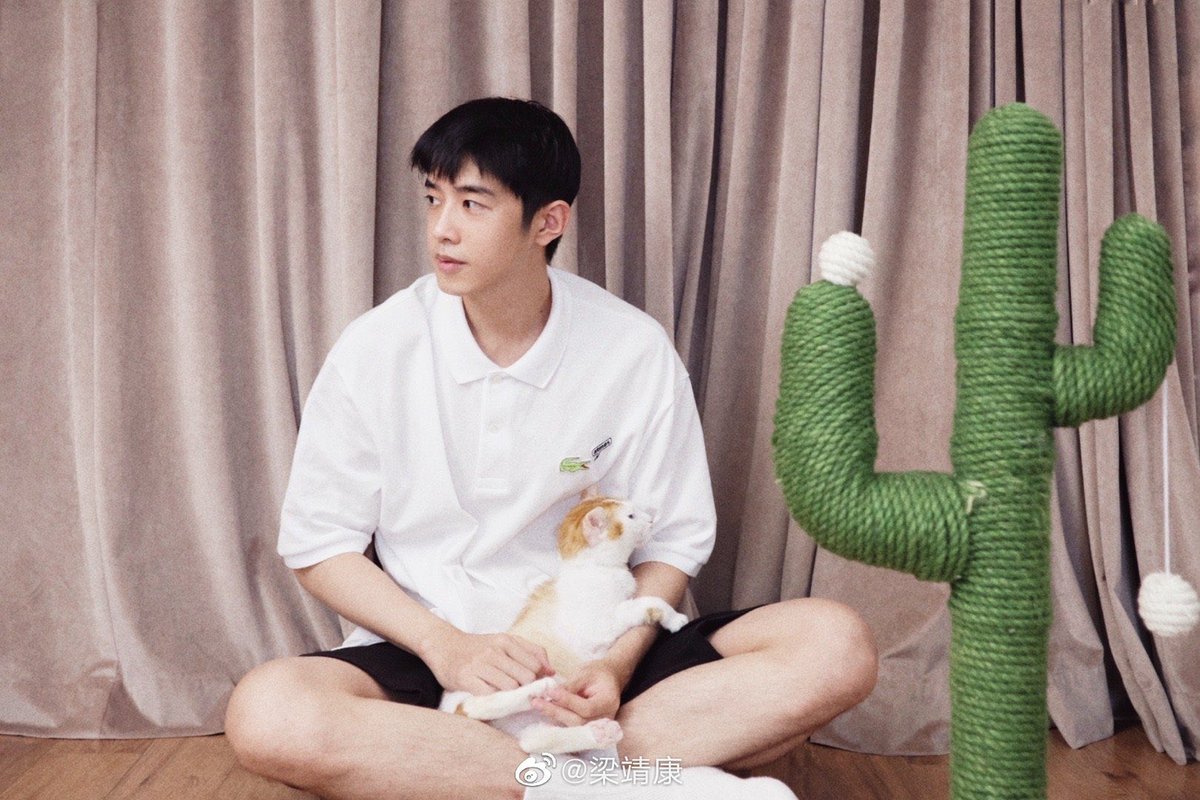 KangTwitTH's tweet photo. #梁靖康 ：แชร์ลิลลี่ผู้น่ารักของผม ❤️

ลิลลี่แมวของพี่คัง 🐱 พี่คังคือทาสแมว แม๊วว

โอ๊ยยยอยากเกิดเป็นแมวบ้างจุง จะได้อยู่ในอ้อมกอดเธอบ้างง

#LeonLeong 
#พี่หมูคังคัง https://t.co/97xcXRE6LJ