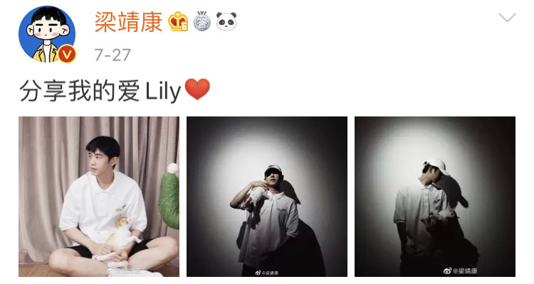 KangTwitTH's tweet photo. #梁靖康 ：แชร์ลิลลี่ผู้น่ารักของผม ❤️

ลิลลี่แมวของพี่คัง 🐱 พี่คังคือทาสแมว แม๊วว

โอ๊ยยยอยากเกิดเป็นแมวบ้างจุง จะได้อยู่ในอ้อมกอดเธอบ้างง

#LeonLeong 
#พี่หมูคังคัง https://t.co/97xcXRE6LJ