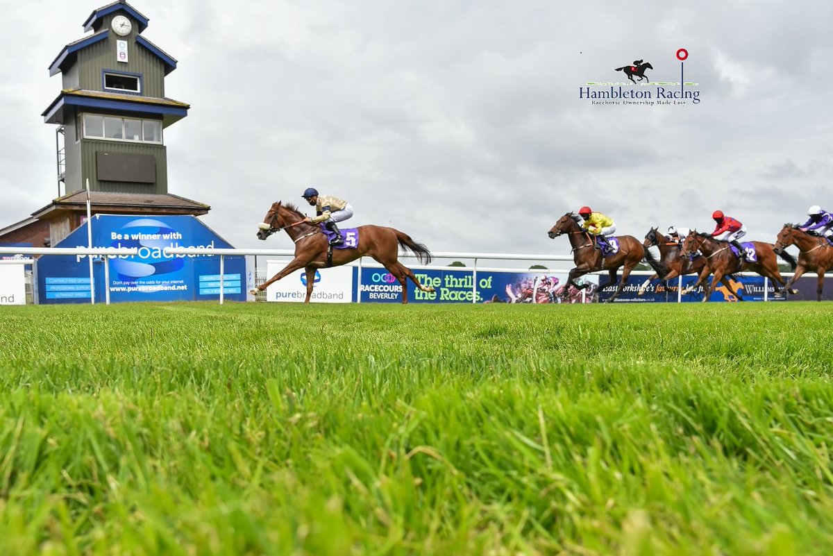 HambletonRacing's tweet photo. Easy Beverley winner Magical Spirit received an exciting entry this week for the Ayr Gold Cup @ayrracecourse next month. Looking forward to seeing him in action again ahead of then for the @kevinryanracing team 🏇💛💙 #Zebedee #Sprinter #FourTimeWinner https://t.co/nn2qYbpCCn