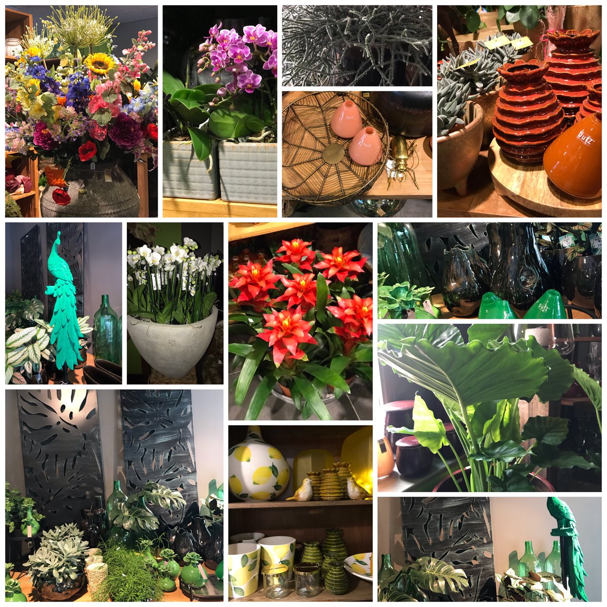Vanaf maandag 17 augustus zijn we weer geopend met nieuwe collecties, verse snijbloemen en mooie woondecoratie.
We hebben er zin in.
Team Bloemsierkunst Marimba Boxtel