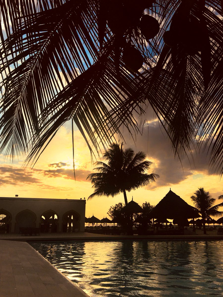 GoldZanzibar's tweet photo. Can you feel the... GOLD?

@GoldZanzibar, good to be different!

✨ https://t.co/0B44luqiDo ✨

#BuonFerragosto #Ferragosto #Zanzibar https://t.co/tai0rbxEhd