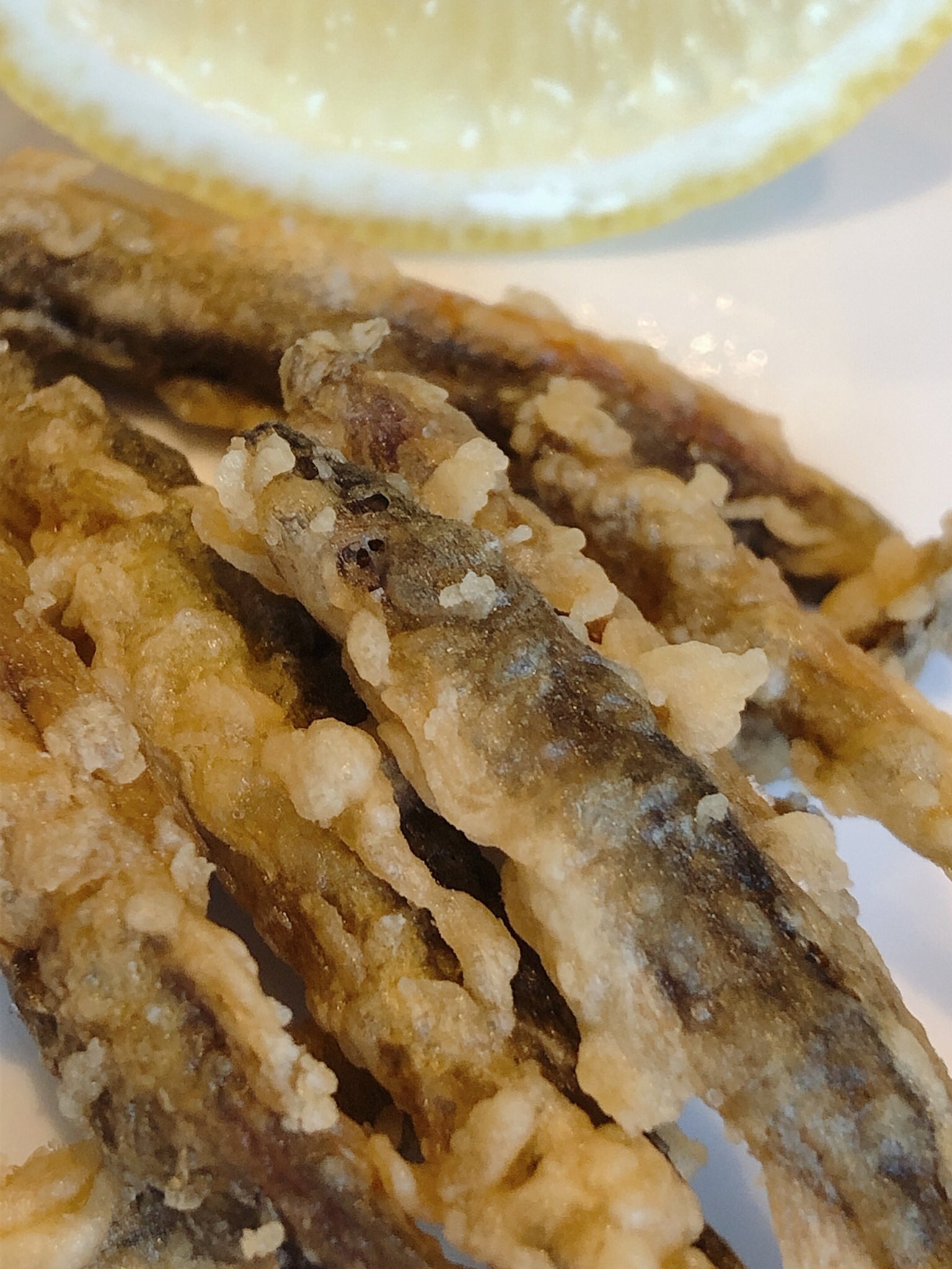 ドジョウの唐揚げ Twitter Search Twitter