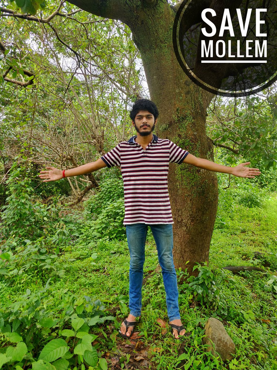 Akshay_shet_'s tweet photo. Virtual Human Chain for Mollem
#savemollem
#virtualwipeout
@savemollemgoa https://t.co/k7StHpId7m