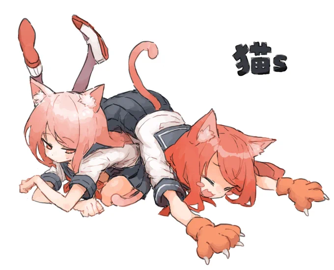 猫s 