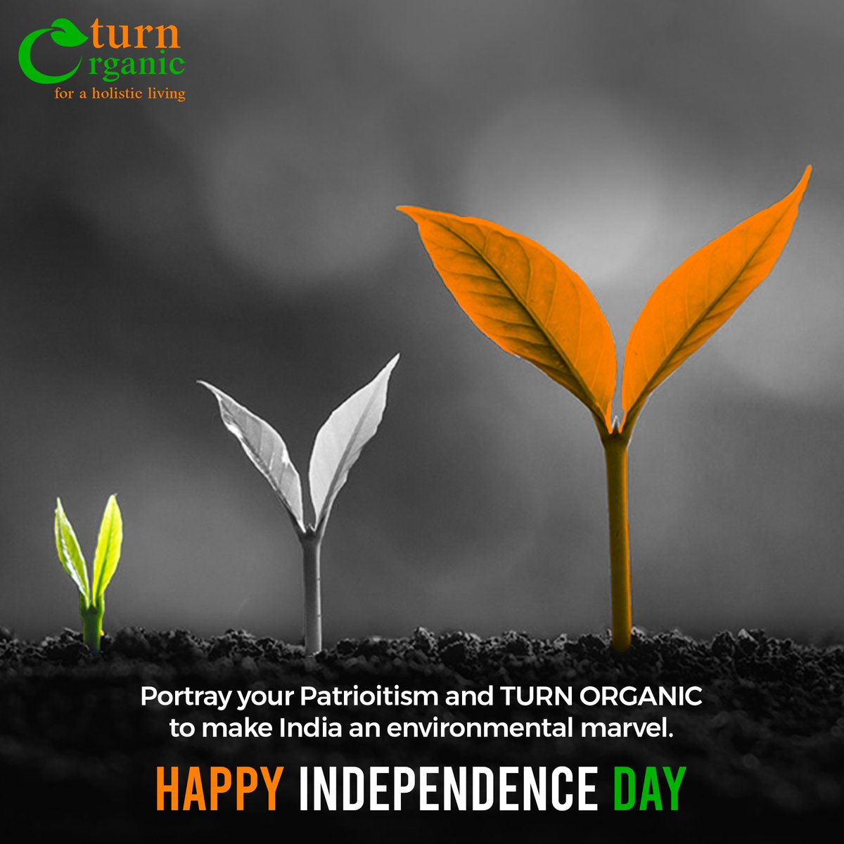 TurnOrganic's tweet photo. Organic is the way to create a greener and cleaner India. Happy Independence Day!

#TurnOrganic #OrganicFood #Organic #happyindependenceday2020 #IndependenceDay2020 #IndependenceDay #IndiaIndependenceDay #IndianIndependence #JaiHind #Indians #Bharat #VandeMataram https://t.co/fK1OGXkbri