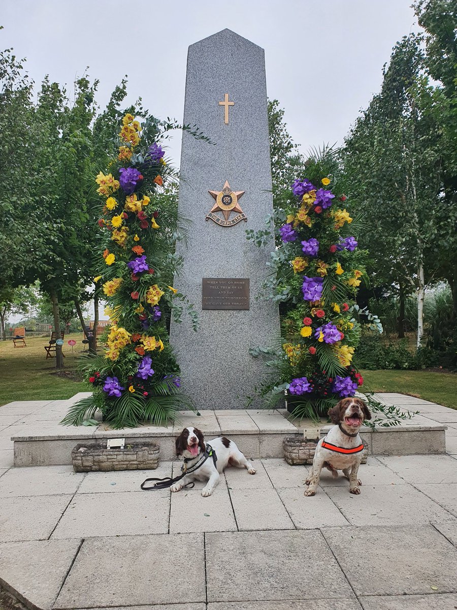 WMPDogs's tweet photo. PD Rascal and PD Micky helping search the venue today on Mutual Aid with @StaffsDogs and @StaffsPolice for a Royal Visit at the National Memorial Arboretum for #VJDay https://t.co/Dy0unNtAbM