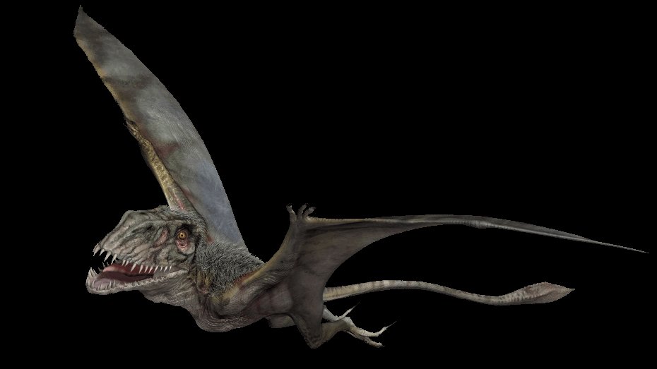 Salut à vous, amateurs de la franchise Jurassic.Nous nous retrouvons pour un nouveau Jurassic Thread sur un ptérosaure du Jurassique, le Dimorphodon.