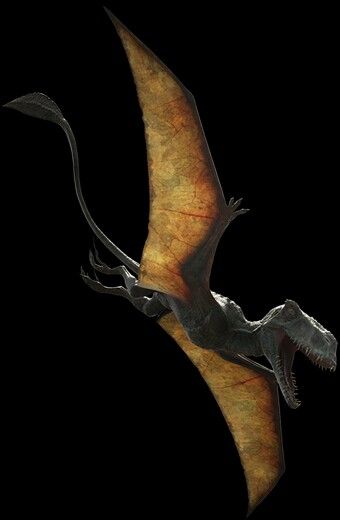 Finalement, le Dimorphodon est cloné par InGen pour Jurassic World, parc figurant dans le film éponyme où le Dimorphodon apparaît pour la première et unique fois.