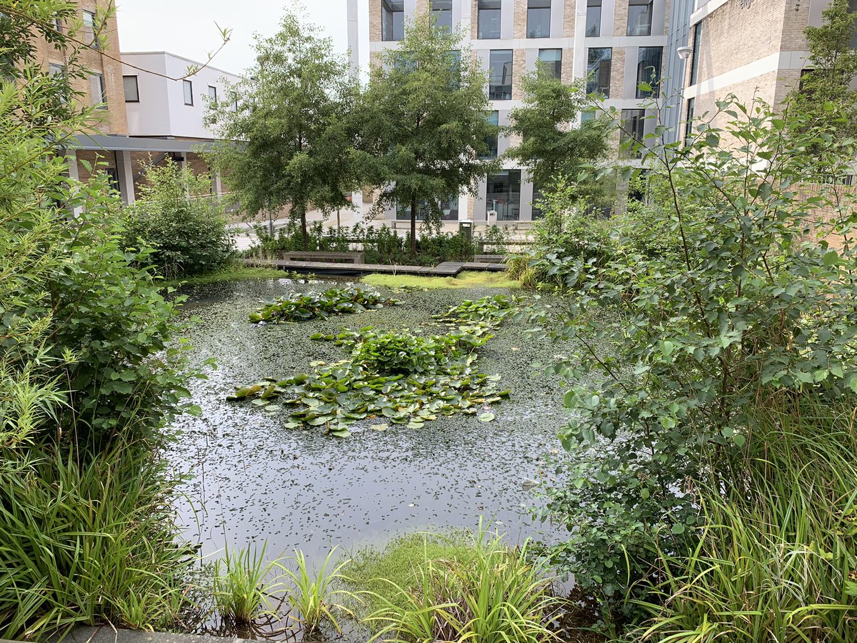 No open days so this week we’ve been travelling the UK to check out potential Universities for our eldest who finishes A levels next year. We started at the wholly inpressive Lancaster University. A city outside the City.