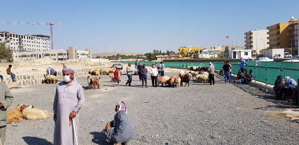 In Ceylanpınar I asked these men if they speak Arabic. Not all of them did, but 6 were from Syria, 5 from Deir al-Zour and 1 from Hasaka. Why you are here? "It is war there, we fled from the regime, ISIS and PKK. Here is peace and security." Which tribe? "We are all Bagaara."