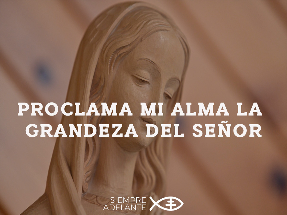 Archisevilla1's tweet photo. #EvangelioDelDía   Lc 1, 39-56. “El Poderoso ha hecho obras grandes en mí: enaltece a los humildes”.
https://t.co/AwENtZdzpJ #PalabraViva vía @SAdelanteAS https://t.co/aP8wzxlHjK
