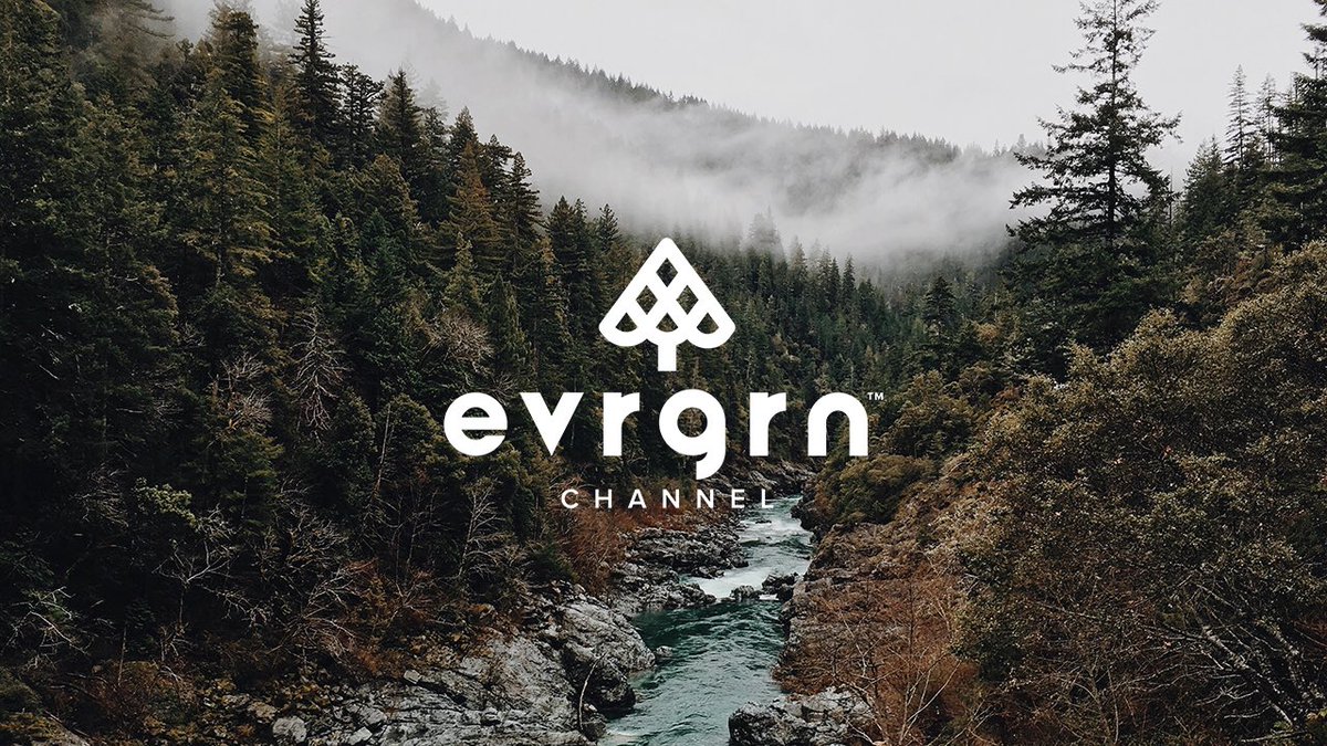 Please follow our <a href="/EvrgrnC/">EVRGRN Channel</a> here, Instagram and Facebook. We’re sharing there what’s available, where it’s available, and links to the great stories we’ve curated from PNW creators. And tune in to <a href="/watchstirr/">STIRR</a> evrgrnchannel.com/Ch284