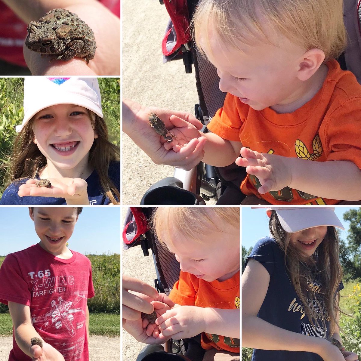Jbmb155's tweet photo. We found a frog and named him James on our hike at Rollins Savanna Forest Preserve today!  
@LumosLearning 
@LCFPD 
#LumosLearning
#SummerLearning https://t.co/IwopF1YRmV
