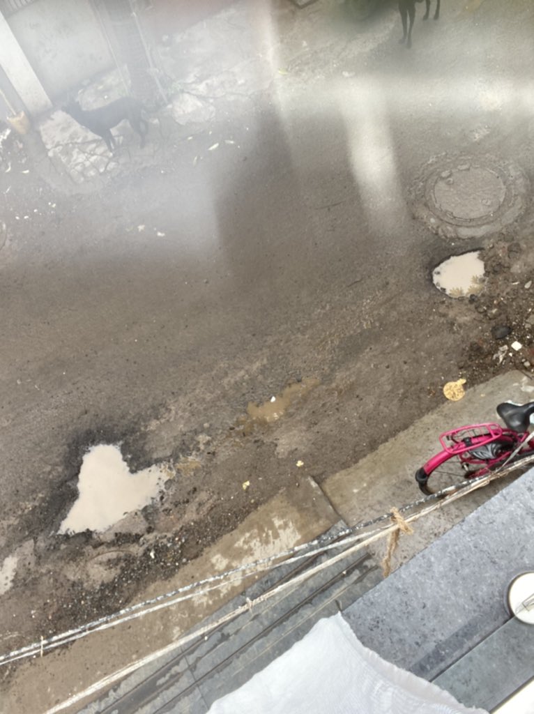 TheRealistic9's tweet photo. @smartcityrajkot Dear RMC this is the situation of my street. Vidyut Nagar-2, Street 1, Raiya Road Rajkot. Kindly request to look in to🙏 https://t.co/dX8cqtls8b