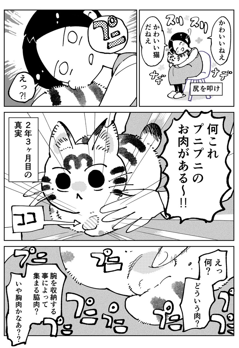 3本足のしじみちゃん92 