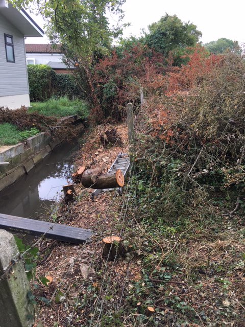 MariaHerlihyEA's tweet photo. Cotswold and Vale Field team clearing a rotten tree at #Bablock Hythe caravan park this week ,#storm #TeamEA .Great work by all.@EnvAgencySE @MarkHill03 @wifo_ea @TobyWillisonEA @sarahchareEA https://t.co/jmQSMaq2ed