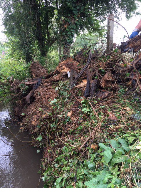 MariaHerlihyEA's tweet photo. Cotswold and Vale Field team clearing a rotten tree at #Bablock Hythe caravan park this week ,#storm #TeamEA .Great work by all.@EnvAgencySE @MarkHill03 @wifo_ea @TobyWillisonEA @sarahchareEA https://t.co/jmQSMaq2ed