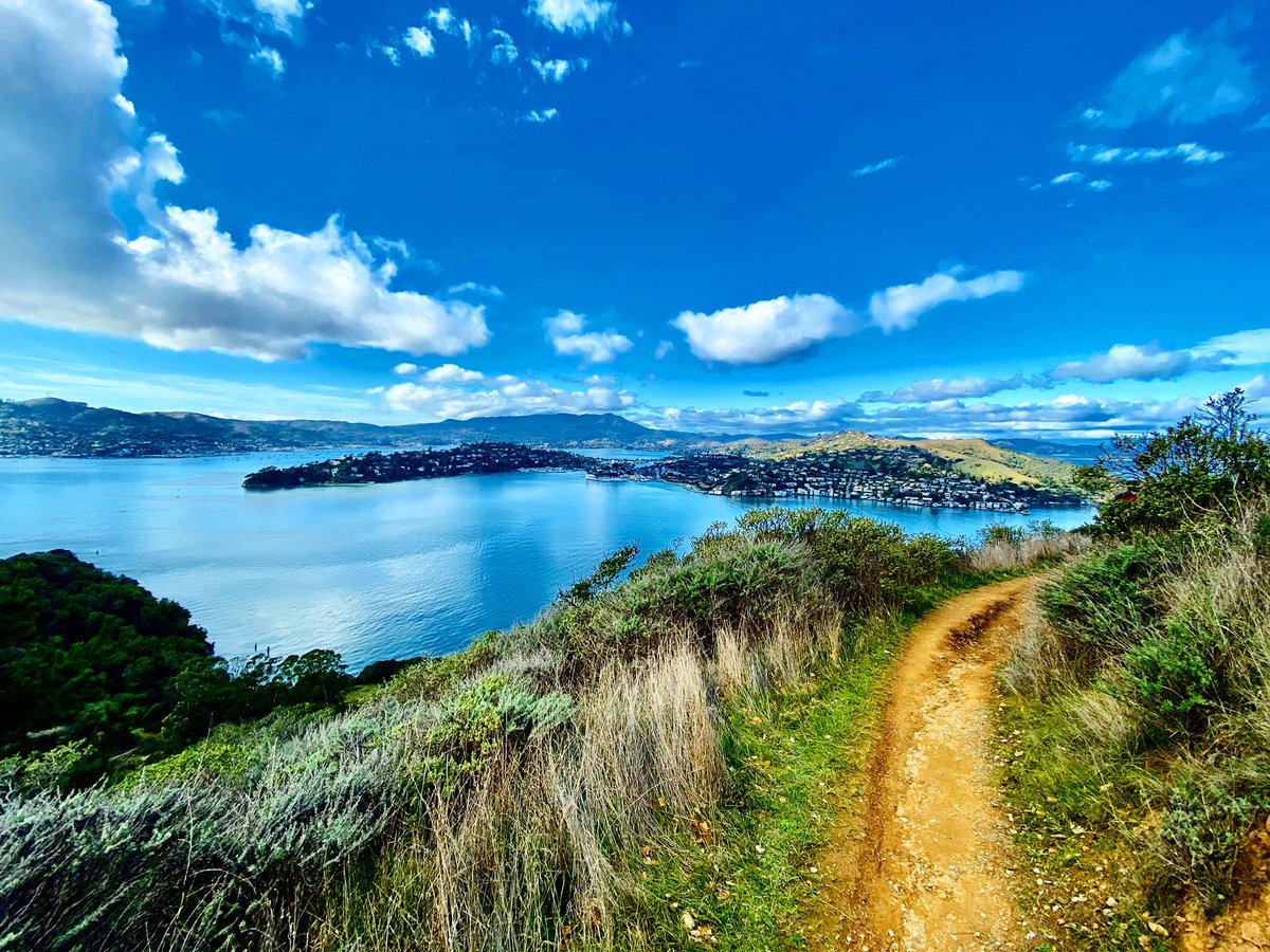drjessica17's tweet photo. The whole future lies in uncertainty: live immediately. Seneca 📷 by me

#liveimmediately #bepresent #mindfulness #mindfulliving #naturephotography #sanfrancisco #angelisland #bayarea #stoicism https://t.co/0bJk5aht1i