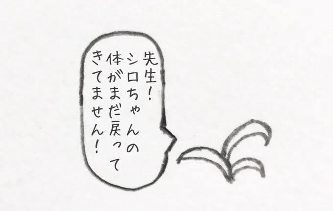 みんなー!1時間のトイレ休憩は済ませたかなー?
降りるときに一緒にいた人はいるかなー?
 #シロ生誕祭 