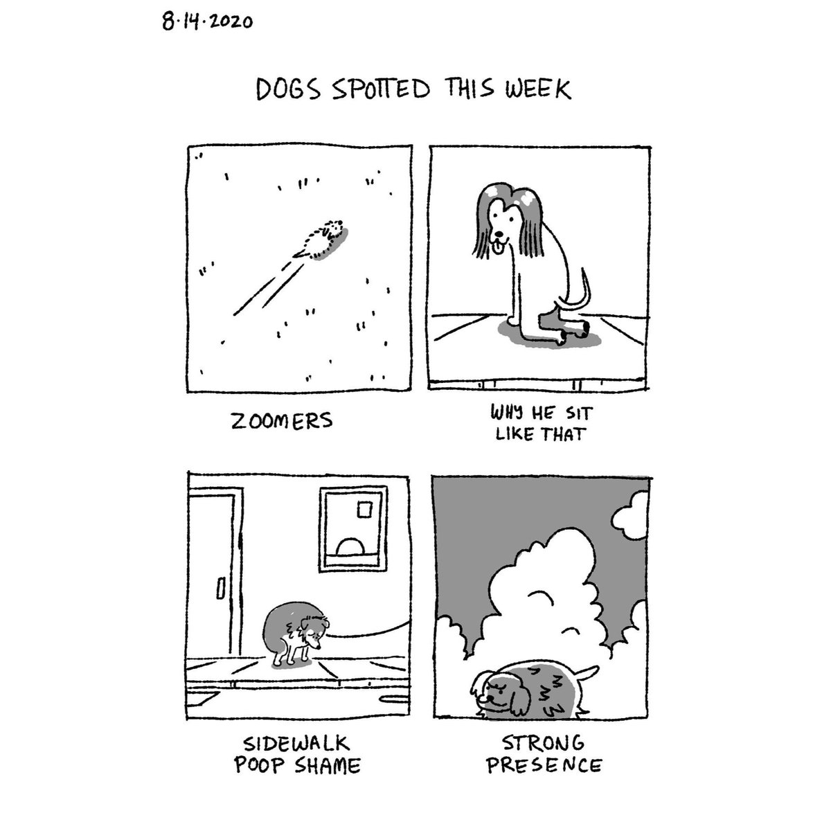 I'm a fan of this week's Good Boy Report 