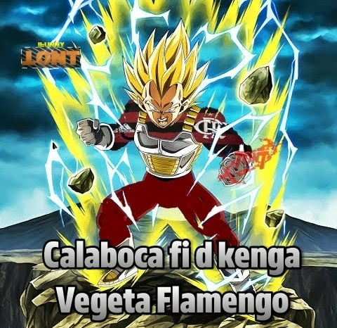 Vegeta Sincero