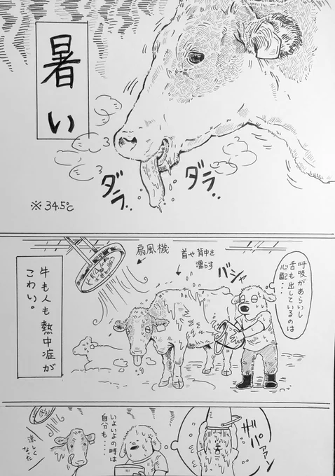 暑い。

牛がバテないか心配な毎日です。 