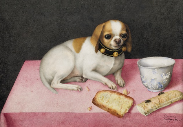 womensart1's tweet photo. Italian painter Giovanna Garzoni, Still life with #dog, 1648 #womensart https://t.co/QMdEWPKLNg