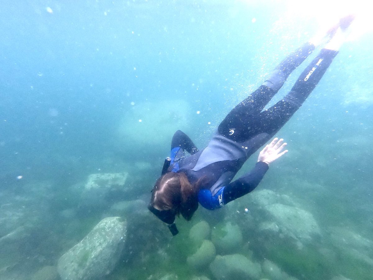 realadventureco's tweet photo. Awesome snorkelling in Pembrokeshire @lovepembs @VisitPembs @visitwales https://t.co/QFOslxTQH3