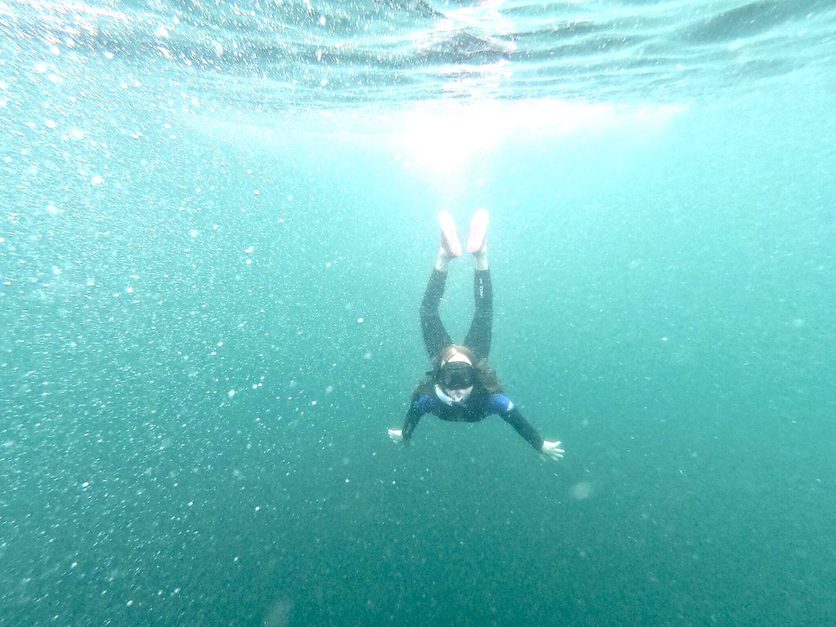 realadventureco's tweet photo. Awesome snorkelling in Pembrokeshire @lovepembs @VisitPembs @visitwales https://t.co/QFOslxTQH3