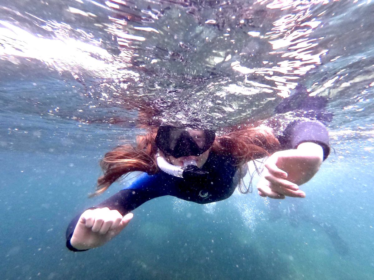 Awesome snorkelling in Pembrokeshire @lovepembs <a href="/VisitPembs/">Visit Pembrokeshire 🏴󠁧󠁢󠁷󠁬󠁳󠁿</a> <a href="/visitwales/">Visit Wales 🏴󠁧󠁢󠁷󠁬󠁳󠁿</a>