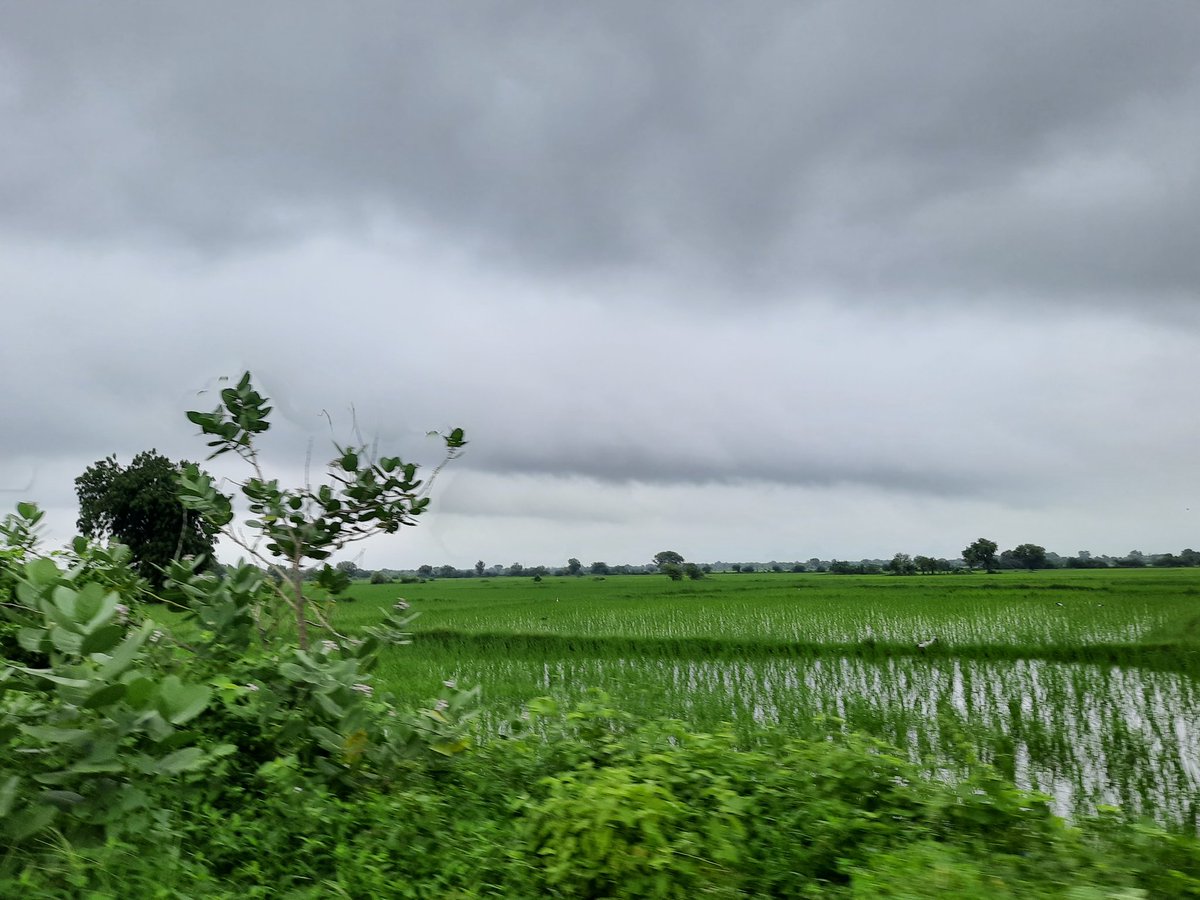 kumarmanish9's tweet photo. #15August2020
Happy Independence Day !
A cycle ride to Thol by @MYBYKINDIA @SmartCityAhd & @AGlobalShapers as part of #Cycle4Change initiative where focus is on making cycle friendly cities and fit Indians ! 😊
@MoHUA_India @itdpindia @FitIndiaOff
#Ahmedabad #CycleForFreedom https://t.co/XT78iowb0E